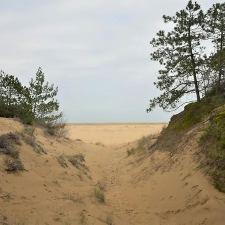 Hotel Wide Row House With Private Fenced Garden For 9 Guests In Lignano Pineta