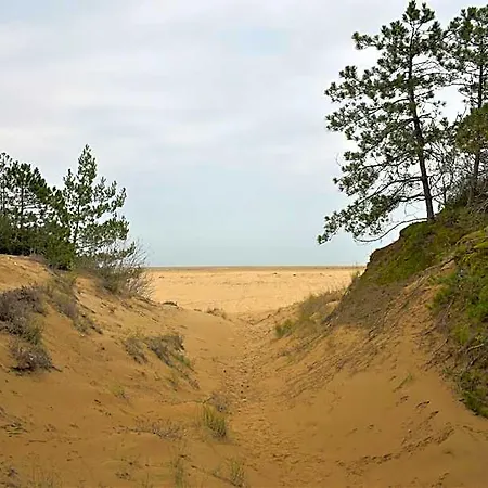 Wide Row House With Private Fenced Garden For 9 Guests In Lignano Pineta 4* Линьяно-Саббьядоро