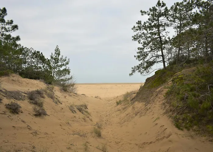 Ξενοδοχείο Wide Row House With Private Fenced Garden For 9 Guests In Lignano Pineta